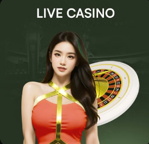 记者：沃尔特马德进球荒？纽卡的战术问题；担心小鹿的状态